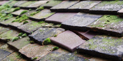 Pwll Mawr roof repair costs